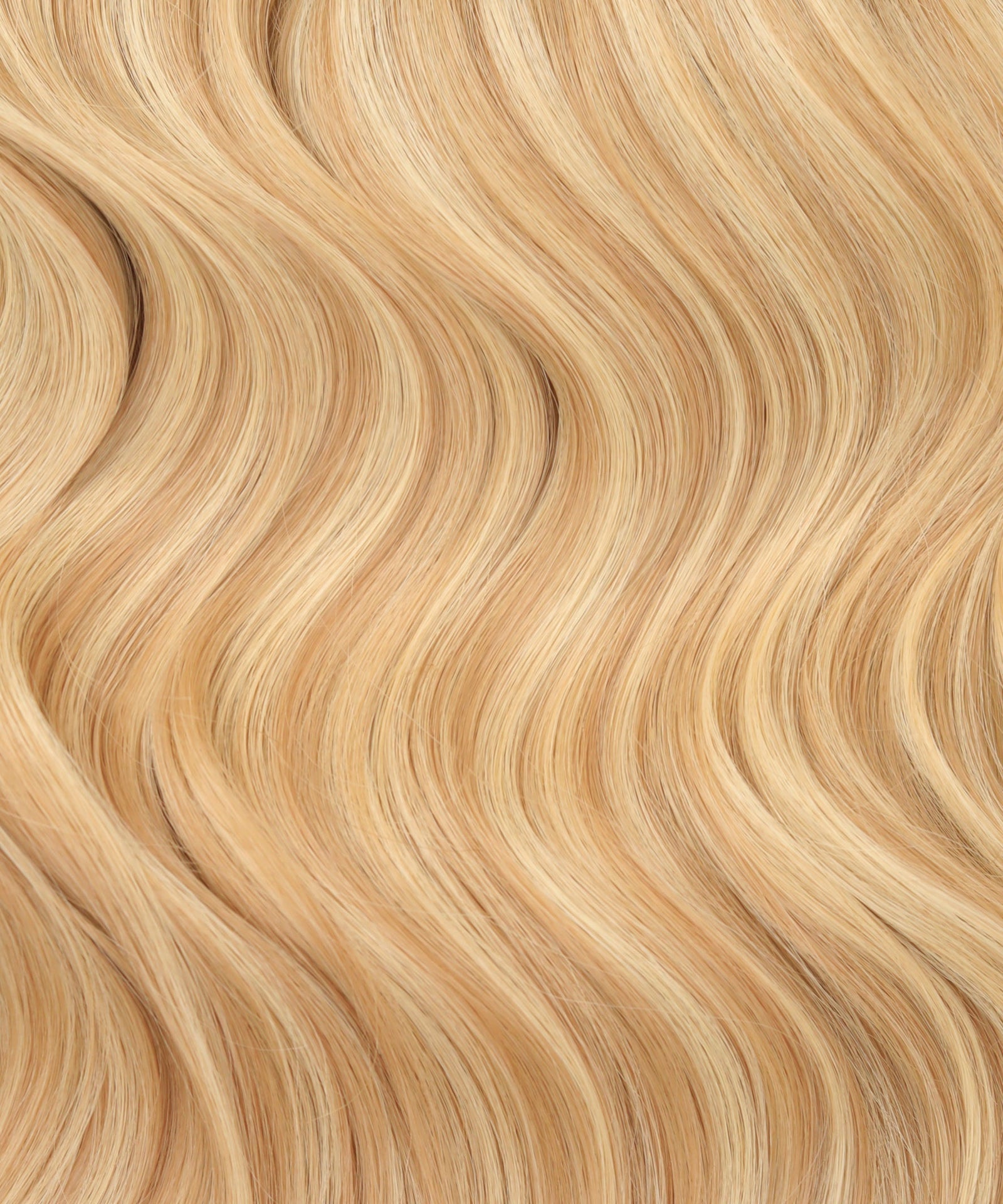 #16/22 Caramel Blonde HL Topper With Invisible Wire (65g)