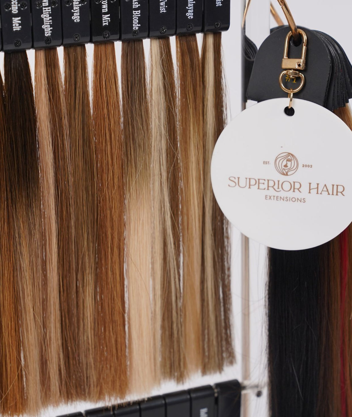 Superior Hair Colour Stand